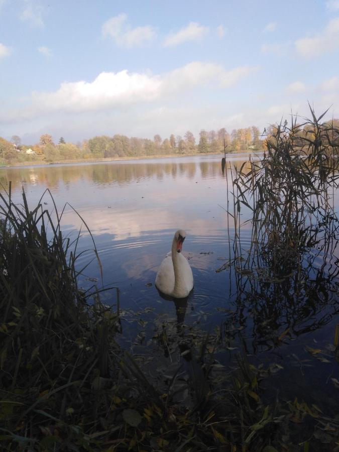 Alte Schule Am