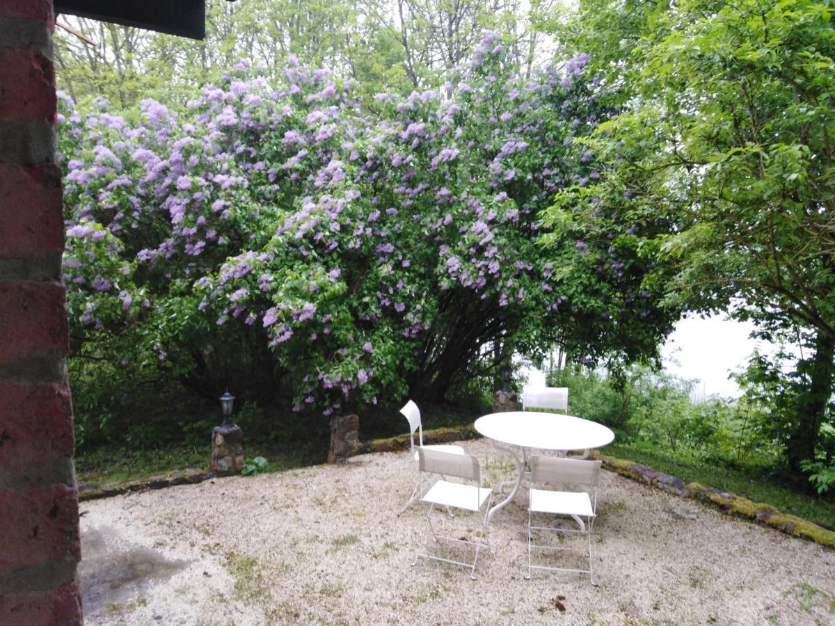 Homestay Alte Schule Am